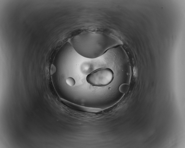 X0000085301203200703091424