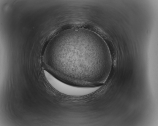 X0000085301204200703091424