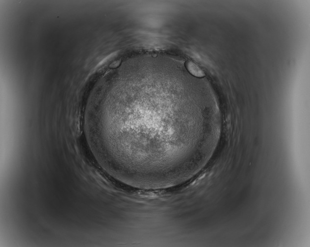 X0000085301205200703091424