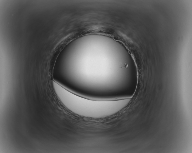 X0000085301206200703091424