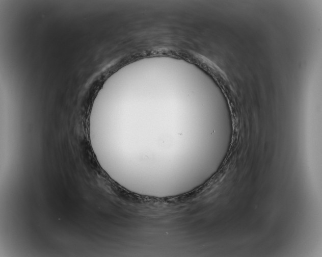 X0000085301207200703091424