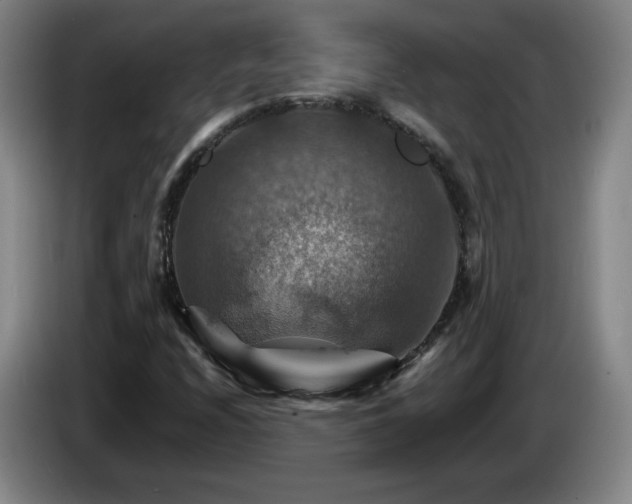 X0000085301208200703091424