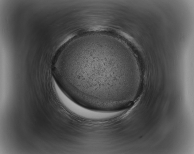 X0000085301209200703091424