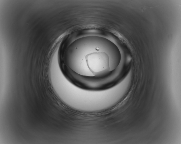 X0000085301210200703091424