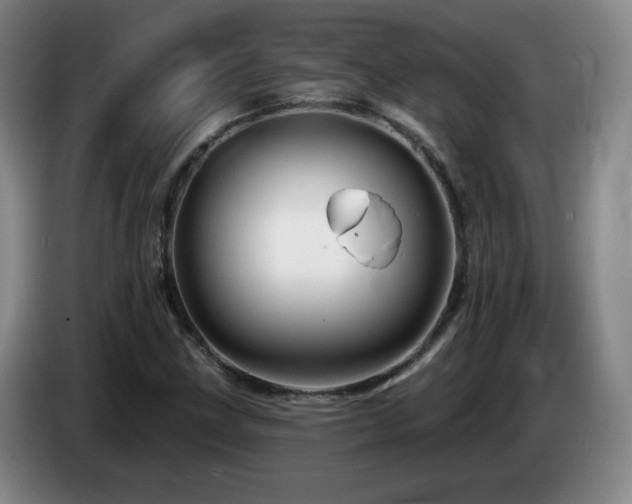 X0000085301211200703091424