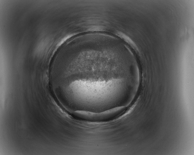 X0000085301212200703091424