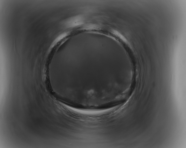 X0000085301213200703091424