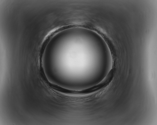 X0000085301214200703091424