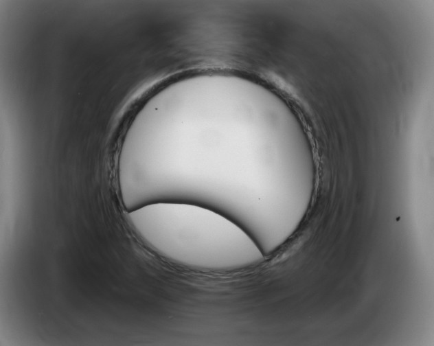 X0000085301215200703091424