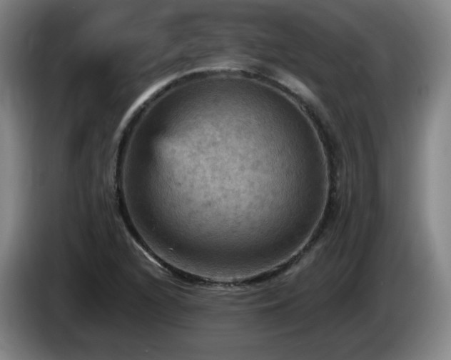 X0000085301216200703091424