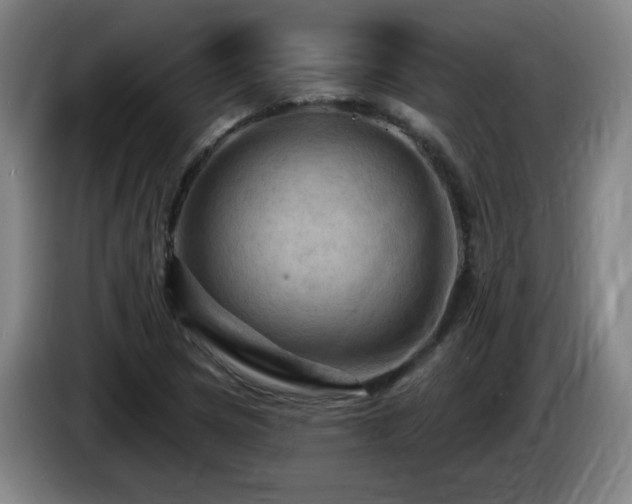 X0000085301217200703091425