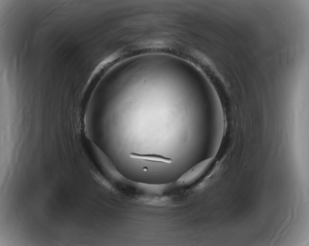 X0000085301218200703091425