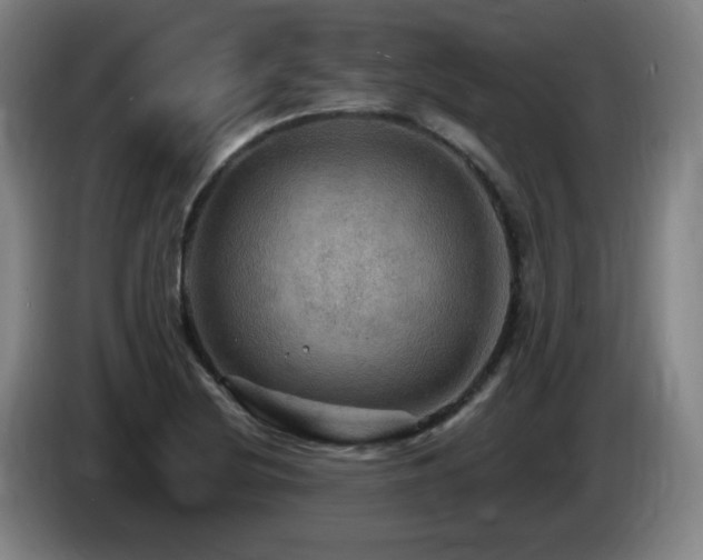 X0000085301220200703091425