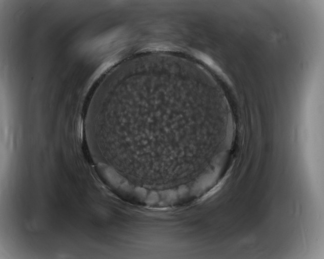 X0000085301221200703091425