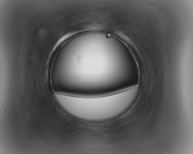 X0000085301222200703091425