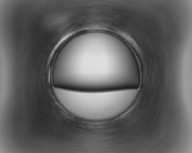 X0000085301224200703091425