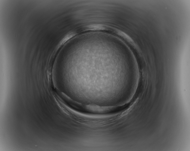 X0000085301225200703091425