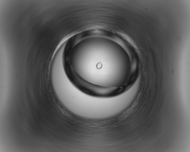 X0000085301226200703091425