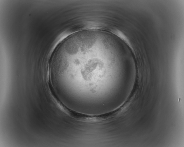 X0000085301227200703091425