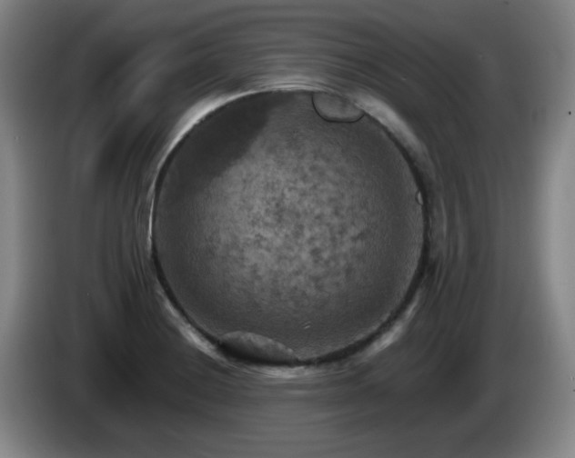 X0000085301228200703091425