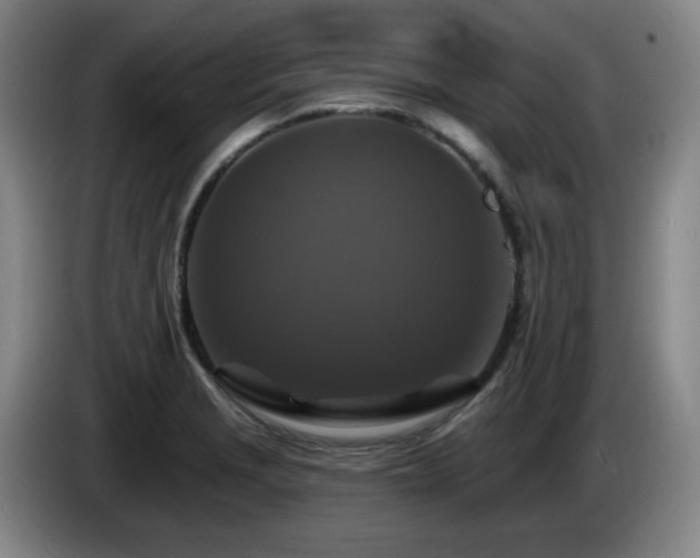 X0000085301229200703091425