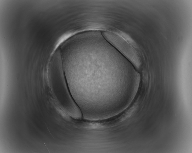 X0000085301230200703091425