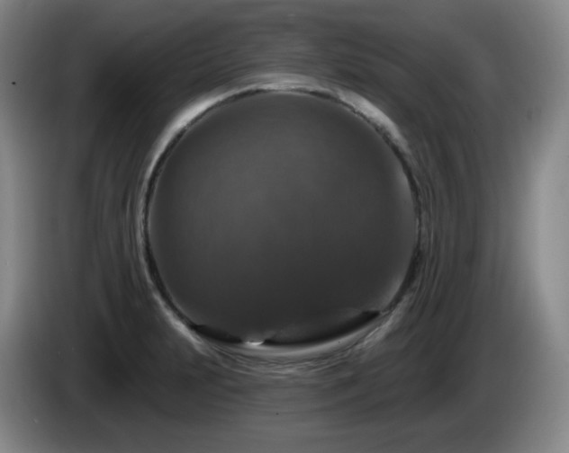 X0000085301231200703091425