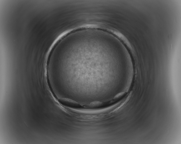 X0000085301232200703091425