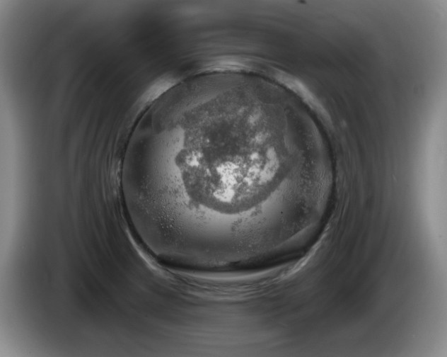 X0000085301233200703091425