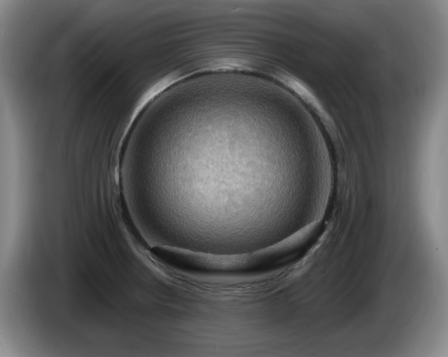 X0000085301234200703091425