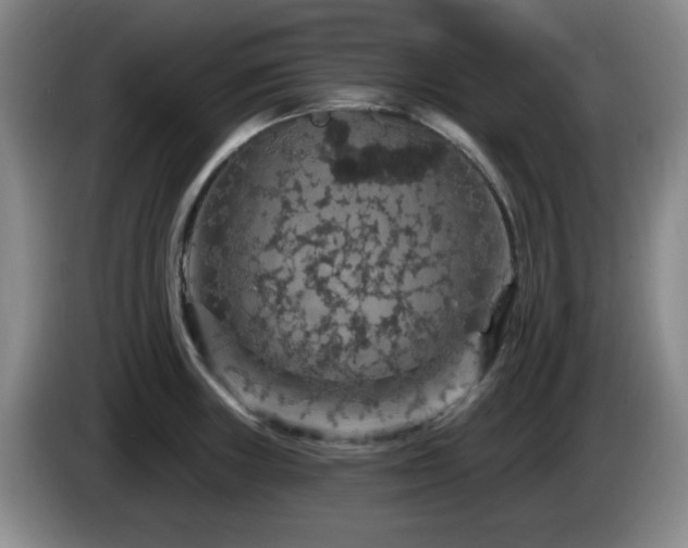 X0000085301235200703091425