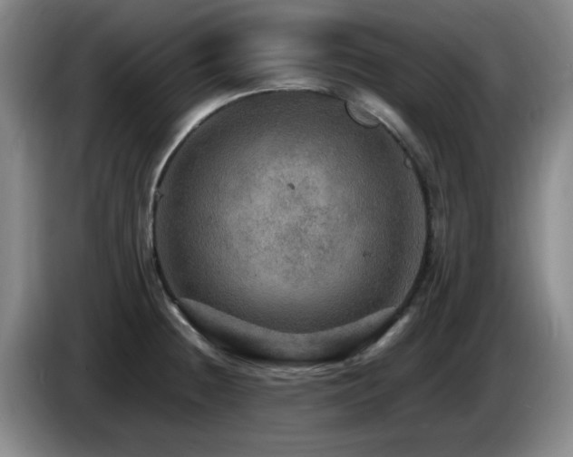 X0000085301236200703091425