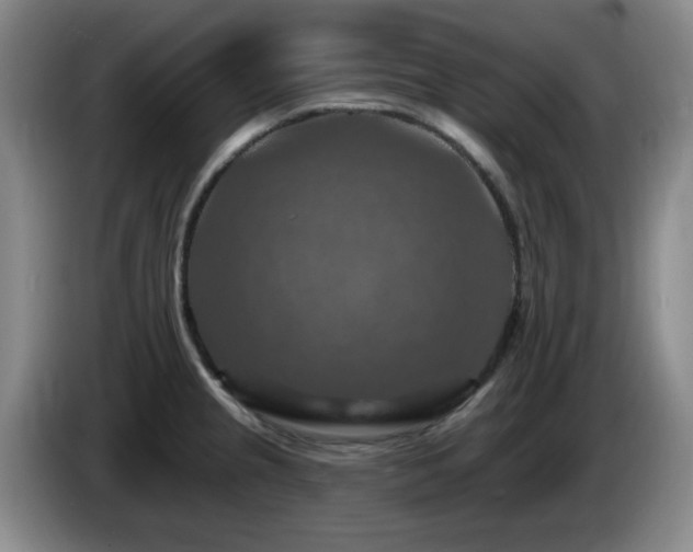 X0000085301237200703091425