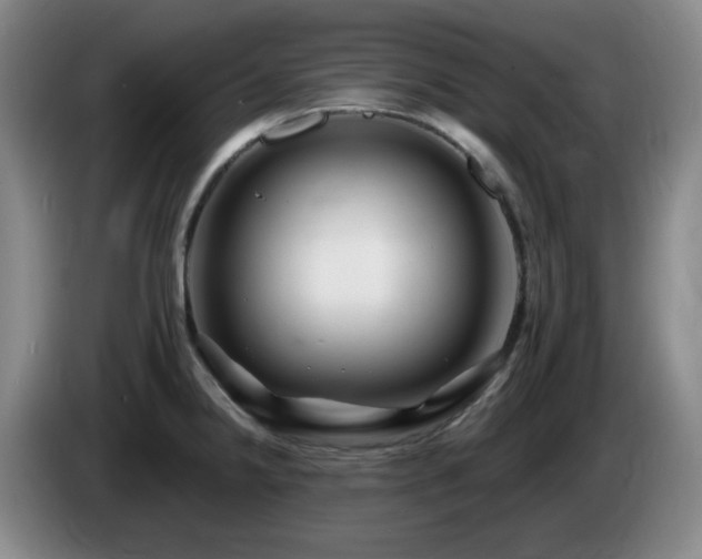 X0000085301238200703091425