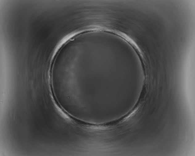 X0000085301239200703091425