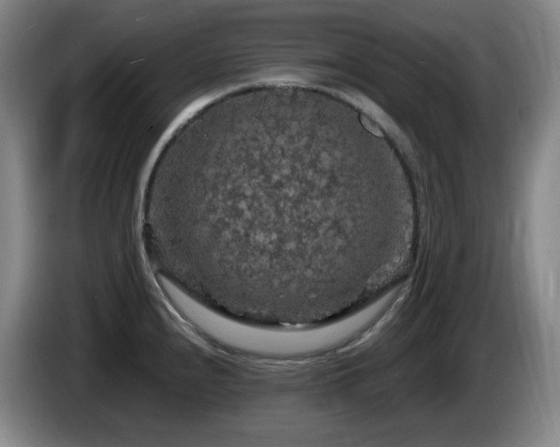 X0000085301240200703091425