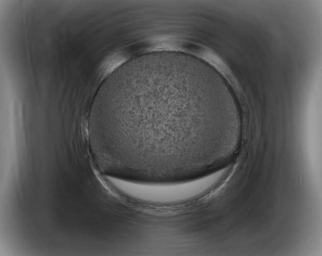 X0000085301241200703091425