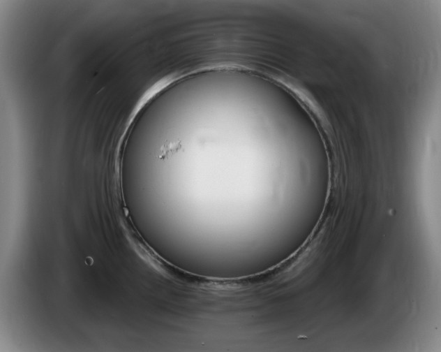 X0000085301242200703091425