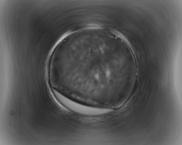 X0000085301243200703091425