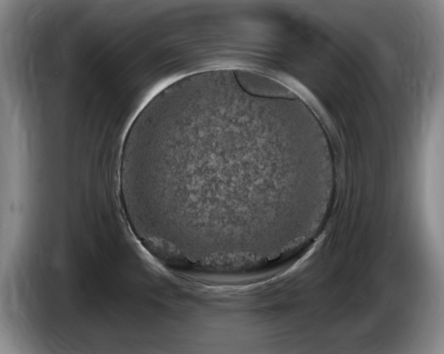 X0000085301244200703091425