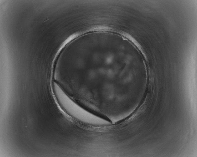 X0000085301245200703091425