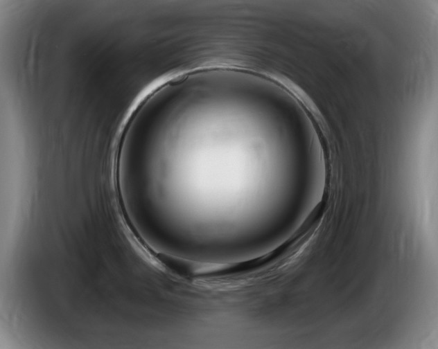 X0000085301246200703091425