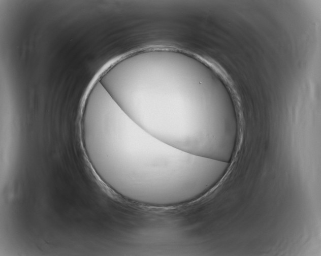 X0000085301248200703091425