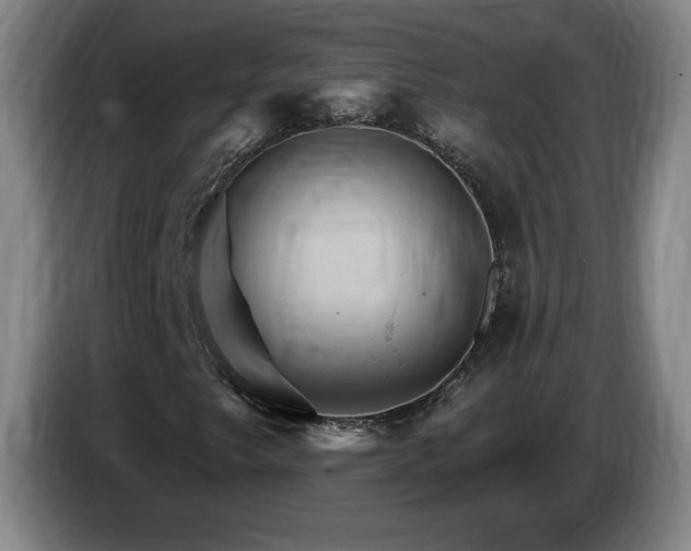 X0000085301249200703091424