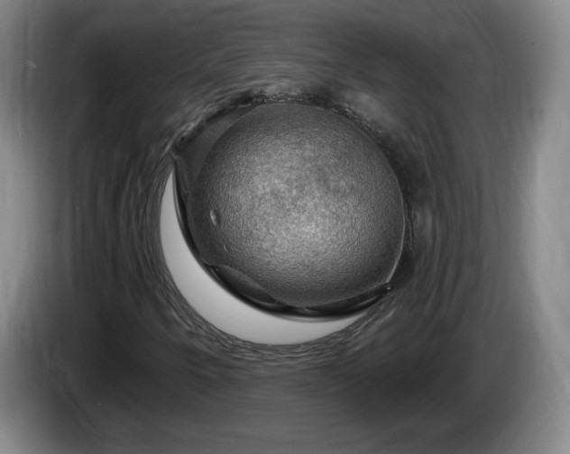 X0000085301250200703091424