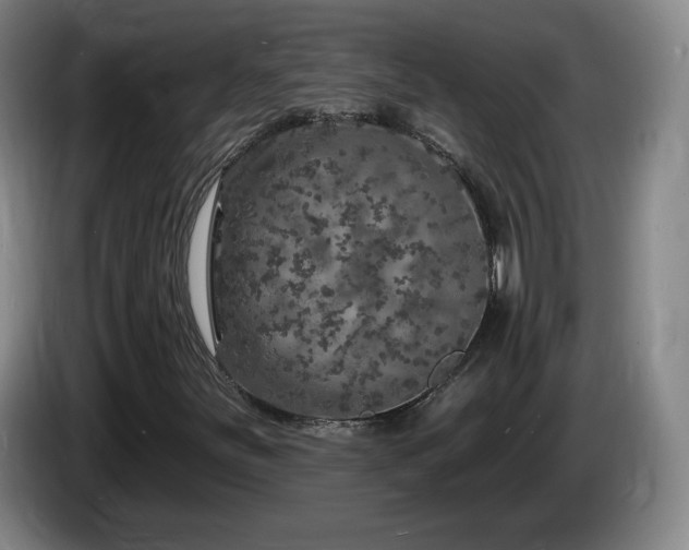 X0000085301251200703091424