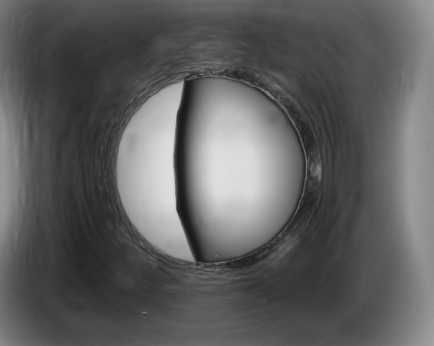 X0000085301252200703091424