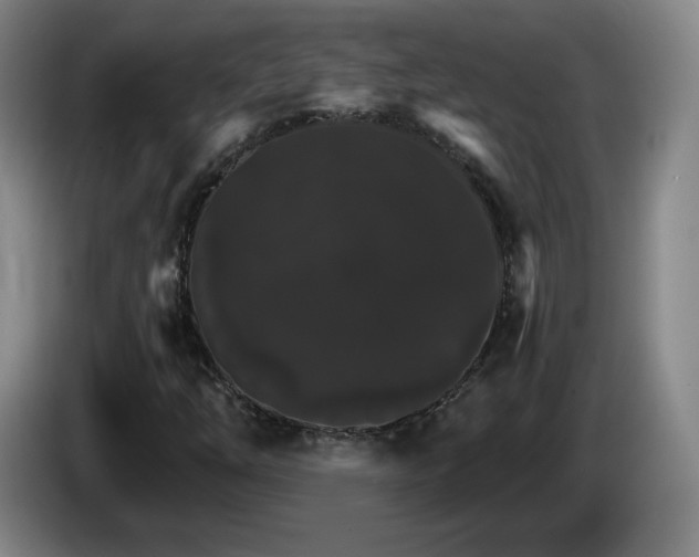 X0000085301254200703091424