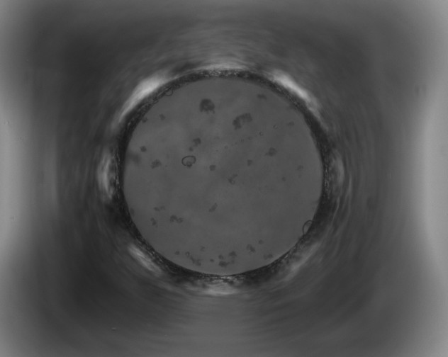 X0000085301255200703091424