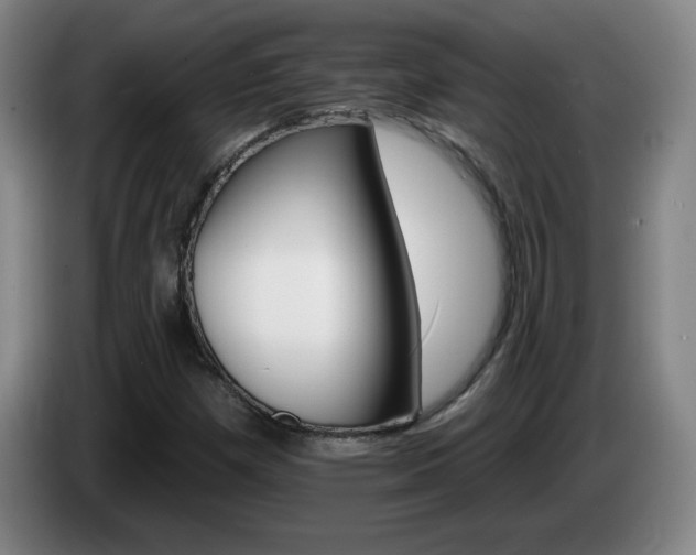 X0000085301257200703091424